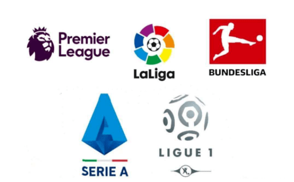 不仅是身体 不仅是身体